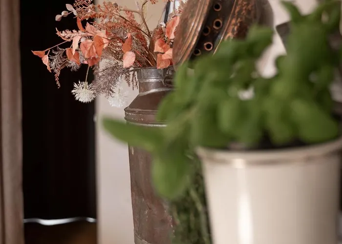 Appartement Naturas Con Piscina Idromassaggio Calda, Privata E Gratuita